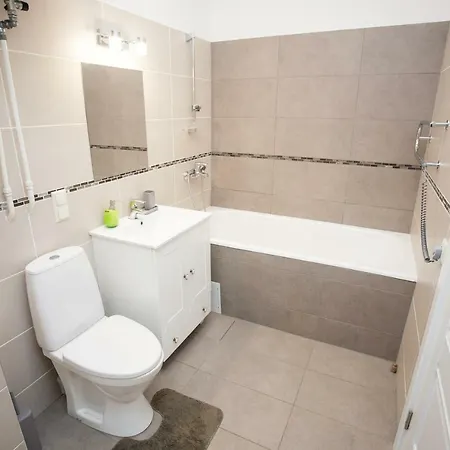 Mickeviciaus Str Apartment