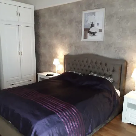 Mickeviciaus Str Apartment Kaunas